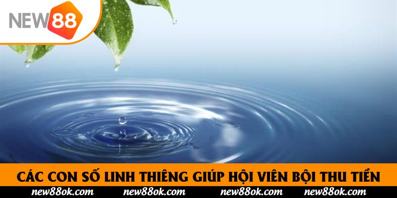 Các con số linh thiêng giúp hội viên bội thu tiền thưởng